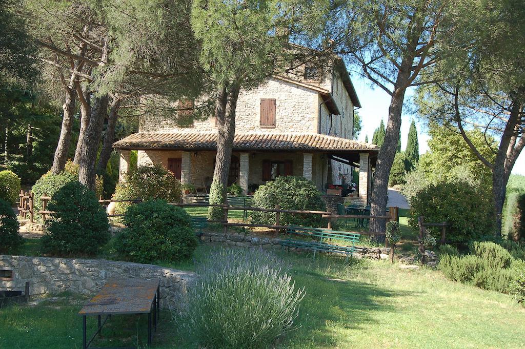 Agriturismo Casale Dei Frontini San Terenziano Eksteriør billede