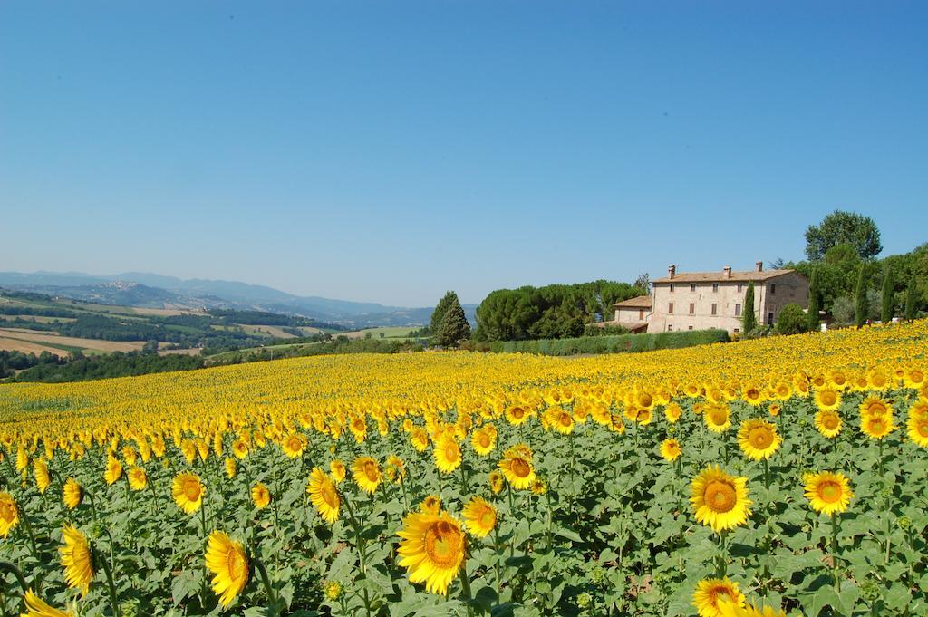 Agriturismo Casale Dei Frontini San Terenziano Eksteriør billede