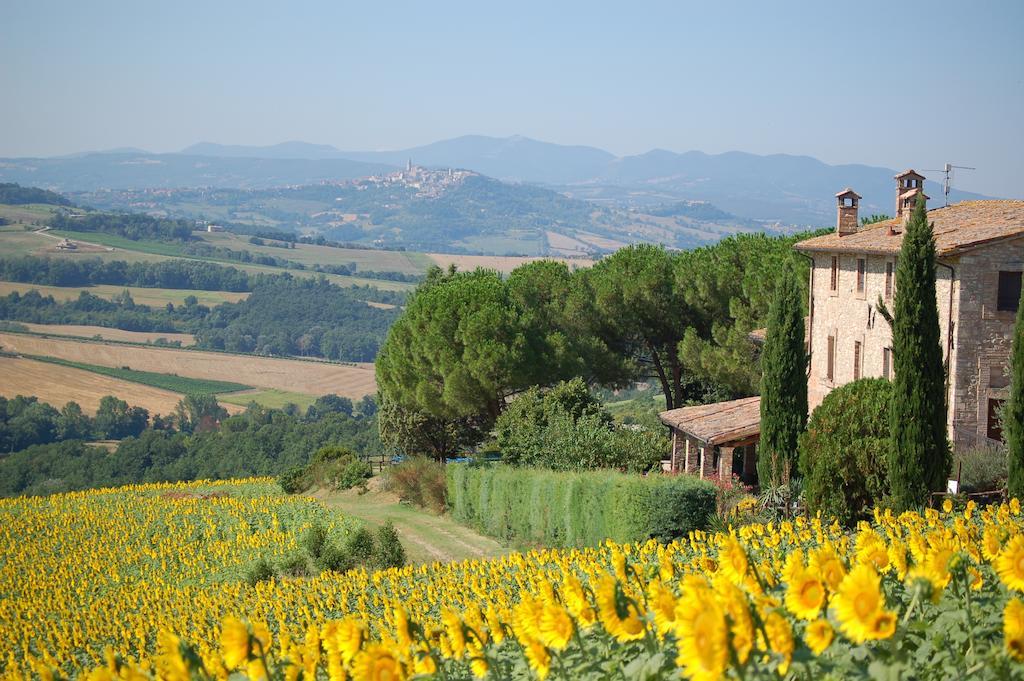 Agriturismo Casale Dei Frontini San Terenziano Eksteriør billede