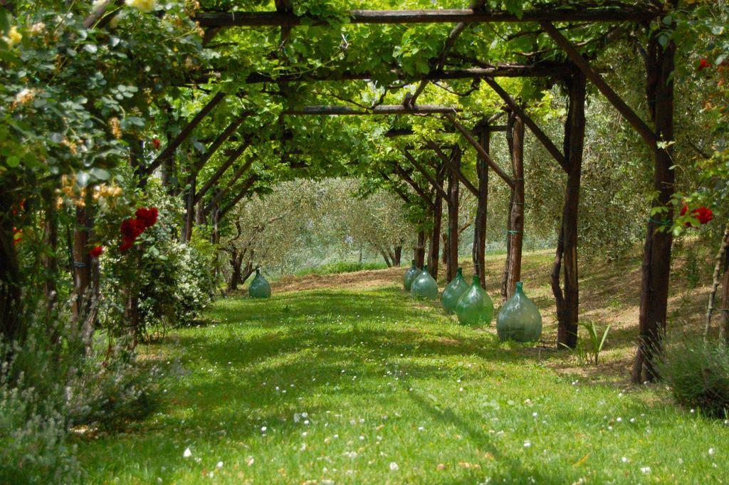 Agriturismo Casale Dei Frontini San Terenziano Eksteriør billede