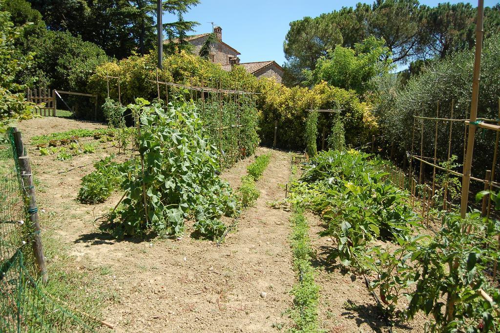 Agriturismo Casale Dei Frontini San Terenziano Eksteriør billede