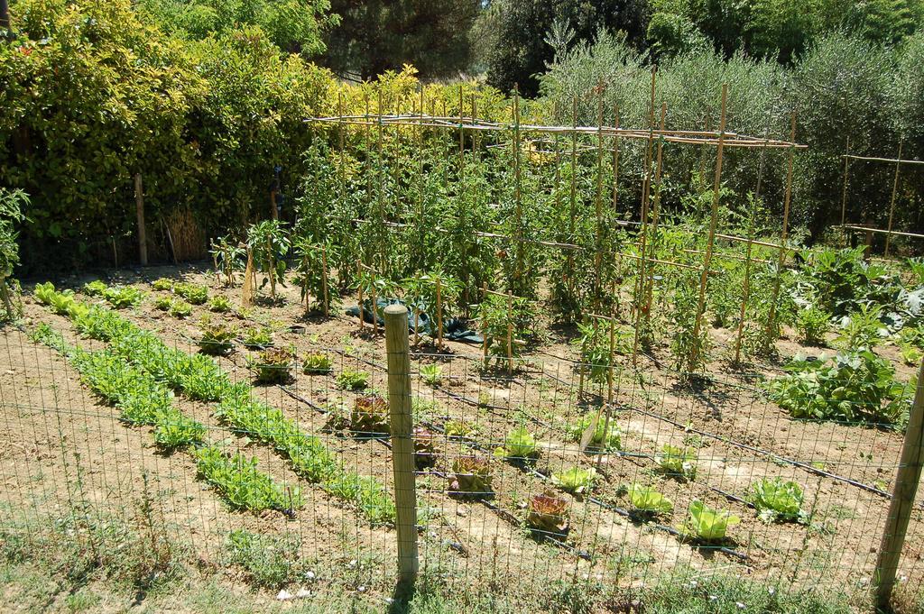 Agriturismo Casale Dei Frontini San Terenziano Eksteriør billede