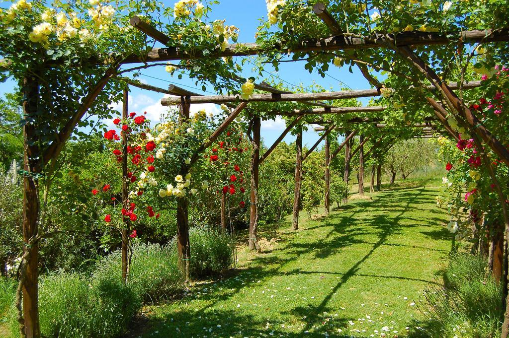Agriturismo Casale Dei Frontini San Terenziano Eksteriør billede