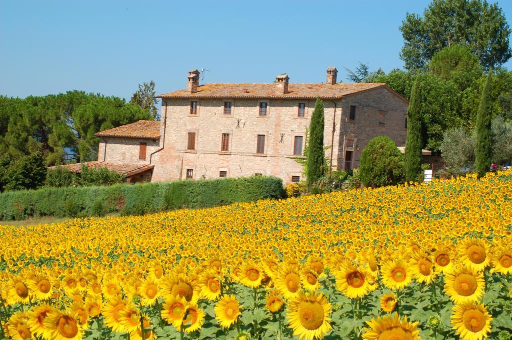 Agriturismo Casale Dei Frontini San Terenziano Eksteriør billede