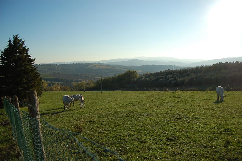 Agriturismo Casale Dei Frontini San Terenziano Eksteriør billede
